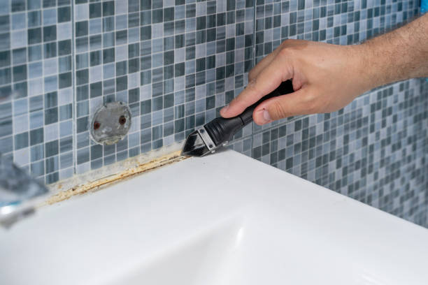 Best Office Mold Removal Services  in Lone Tree, CO